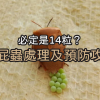 臭屁蟲蟲卵處理-預防臭屁蟲入屋-14粒臭屁蟲蛋